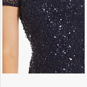 Adrianna Papell Evening Dress